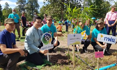 กฟผ. หนุนโรงเรียนราชประชานุเคราะห์ 56 จังหวัดน่าน ศูนย์เพาะพันธุ์กล้าไผ่ซางหม่น  สร้างป่าไผ่ ลดโลกร้อน