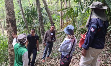 ระดมกำลังเดินปูพรมค้นหาชาวบ้านหลงป่าบนเขาในสงขลาหาย 3 วันยังไร้วี่แวว