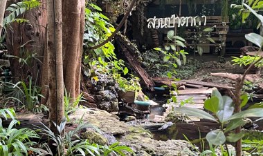 "สวนป่าตากา" กาแฟธรรมชาติ น้ำตก แมกไม้ ติดริม น้ำปิง