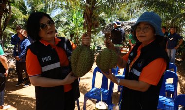 ห้ามพลาด!“เทศกาลทุเรียนต้นน้ำมูลโคราช@ครบุรี ครั้งที่ 1 ” 22-23 ก.ค.ที่ว่าการอำเภอครบุรี