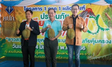 "อาคม"รมว.คลัง นำทีม คปภ. ลงพื้นที่เปิดตัวประกันภัยทุเรียนภูเขาไฟศรีสะเกษ เพิ่มภูมิคุ้มกันชาวสวนทุเรียนสู้ภัยธรรมชาติ