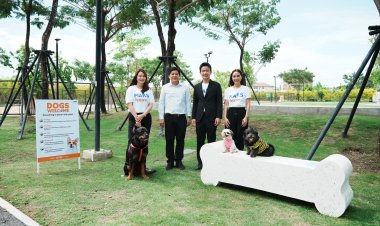 “มาร์ส เพ็ทแคร์” รีไซเคิลซองอาหารสัตว์เลี้ยงกว่า 7 ตันจากโครงการ “แลกแล้ว-ลดเลย” ปีที่ 2 เพื่อผลิตบล็อกปูพื้นและเก้าอี้ให้ BMA Dog Park สวนเทียนทะเลพัฒนาพฤกษาภิรมย์