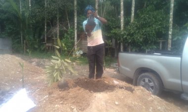 “ทุเรียนหมอนทองพัทลุง”ฮิตติดลมบน ไม่พอต่อการบริโภค ต้องขยายพื้นที่ปลูกต่อเนื่อง