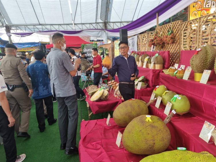 หยุดยาว! เปิดงานวันเกษตรกรหรืองานชาวสวนปราจีนฯ คนนับ 1,000 แห่ชิม-ช็อปแน่นเย็นจรดดึก