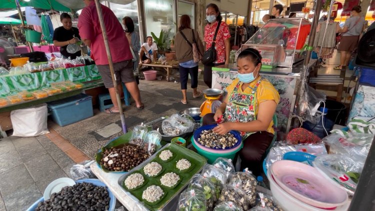 ปีหนึ่งได้กินครั้งเดียว!เห็ดเผาะ ขาว-อ่อน-ไม่เหนียว เคี้ยวเพลิน ราคาทะลุ กก.ละ 700 บาท