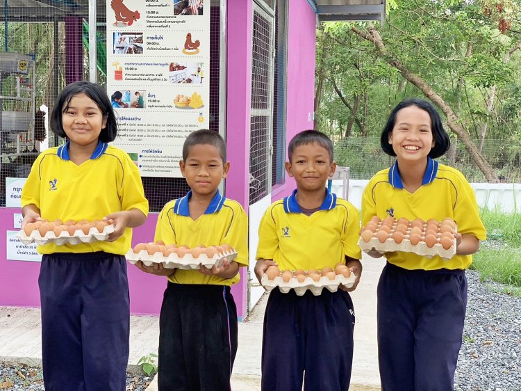 “เลี้ยงไก่ไข่เพื่ออาหารกลางวันนักเรียน” สร้างทักษะอาชีพให้เด็กโรงเรียนบ้านแก้วเพชรพลอย จ.สระแก้ว