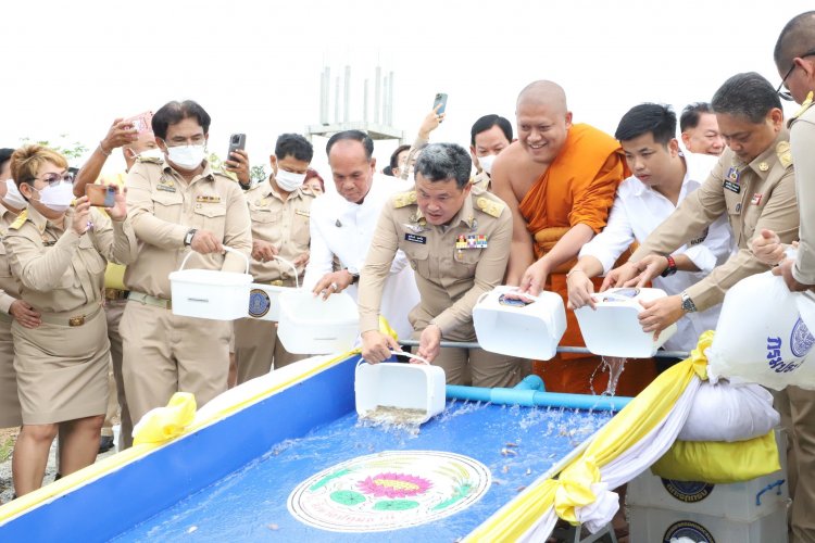 ปลัดกระทรวงมหาดไทยปล่อยพันธุ์ปลาน้ำจืด 99,999 ตัว เพื่อถวายพระกุศล"สมเด็จพระสังฆราช"