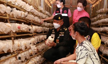 กองทัพบกนำทัพลงพื้นที่เพชรบุรีปลุกกำลังพลพิการทุพพลภาพ-ครอบครัวร่วมโครงการประกอบอาชีพ