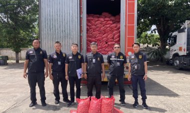 กรมศุลกากรจับกระเทียมลักลอบนำเข้า 30,000 กิโลกรัม มูลค่า 800,000 บาท