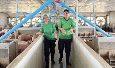 เปิดความสำเร็จ “ธเนศฟาร์ม”เกษตรกรคอนแทรคฟาร์มซีพีเอฟ เลี้ยงหมูขุนพลิกชีวิต สร้างงานสร้างอาชีพมั่นคง