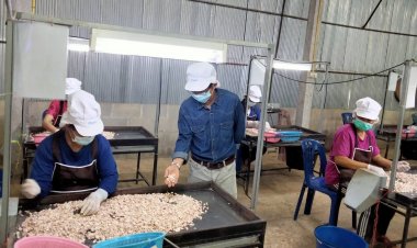 ซีพีเอฟ จับมือกับ อบก. เพิ่มขีดความสามารถคู่ค้าธุรกิจ พัฒนาสินค้าคาร์บอนต่ำ รับเทรนด์ลดโลกร้อน