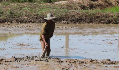 เกษตรกรขอนแก่นฝากการบ้านรัฐบาลชุดใหม่เร่งแก้ปัญหาต้นทุนพุ่งสินค้าทุกอย่างจะถูกลง