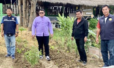 “ผู้ใหญ่หมี  แม่สอด” ต้อนรับ ปลัดโจ้ย=กำนันวัช  ลงพื้นที่ศึกษา ดูงานแปลงผัก  ซอยนี้มีรัก  พืชสวนครัวรอบรั้วกินได้