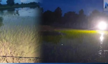 อากาศร้อนจัด!ชาวนาร้อยเอ็ดลงทุนเปิดไฟดำนาตอนกลางคืนอากาศเย็นสบาย