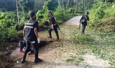 ไฟใต้กลับมาระอุ!คนร้ายลอบวางระเบิดทหารพรานพลีชีพ 1 บาดเจ็บอีก 2 นาย