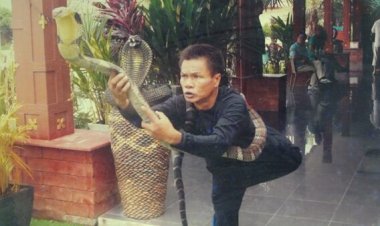 "ทองคำ ลูกทองชัย"ปิดตำนานราชางูจงอางระดับโลกหลังยึดอาชีพเกือบ 30 ปี