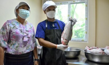 ปลาส้มปลาจีนไร้ก้าง สินค้าเลิศรส ของดี OTOP วิสาหกิจชุมชนบ้านมาบคล้า ทำรายได้งามสู่ท้องถิ่น