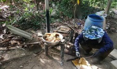 คอกาแฟฮิตดื่มผสมน้ำผึ้งป่าดัน"ผึ้งโพรง"ราคาพุ่งขวดละ 500-700 บาท