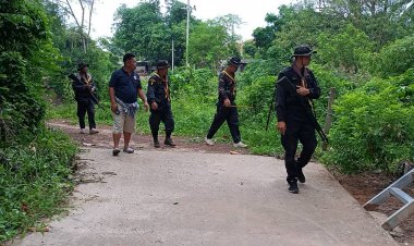 ชาวบ้านนาดีหวาดผวาหนัก!ช้างป่าทับลานบุกยึดสวนยืนกินอ้อย-มัน ที่หน้าบ้าน