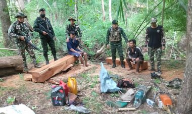 จนท.ป่าไม้สนธิกำลังทหารยกระดับเข้มข้นลาดตระเวนป่าลุยจับแก๊งมอดไม้อุทยานฯศรีลานนา