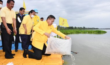 ชลบุรีปล่อยพันธุ์สัตว์น้ำ 200,000 ตัว เนื่องในวันเฉลิมพระชนมพรรษา พระบาทสมเด็จพระวชิรเกล้าเจ้าอยู่หัว 28 กรกฎาคม
