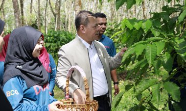 เลขาฯศอ.บต.การันตีคุณภาพกาแฟสายพันธุ์โรบัสตากลุ่มวิสาหกิจชุมชนรือเสาะ “นุ่ม รสชาติดี ศรีบาตง”