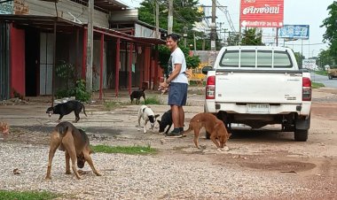 แห่ชื่นชม!อดีตพระเอกขุนแผนใจบุญตระเวนให้อาหารน้องหมาจรจัดทุกวันทำมาแล้ว 15 ปี