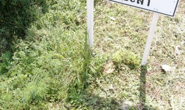 ป่วนปัตตานี!คนร้ายกดบึ้มตำรวจทุ่งยางแดงต้อนรับคณะ"โอไอซี"เยือนชายแดนภาคใต้