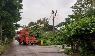 ชาวบ้านชื่นชมกฟภ.แม่สอด "เร่งแก้ไขปัญหา ฉับไว รับใช้ประขาชน" ทำทันที