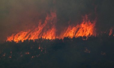 "ยูเอ็น"เตือนน่ากลัวมาก!สิ้นสุดยุค"โลกร้อน"ก้าวเข้าสู่ยุค"โลกเดือด"