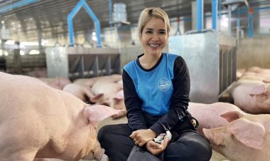 “เนตรบุญฟาร์ม”ใช้ Smart Farm ยกระดับการเลี้ยงหมู ตัวอย่างเกษตรกรยุคใหม่ เลือกคอนแทรคฟาร์มซีพีเอฟ สร้างอาชีพมั่นคง