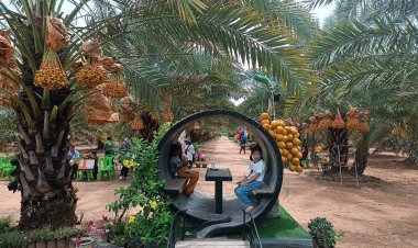 เปิดสวนอินทผลัม"ไร่ดังใหม่"ลุงด้วง ครบุรี แลนด์มาร์คจุดเช็คอินเที่ยวสุดฟิน-กินผลสดปลอดสารพิษ