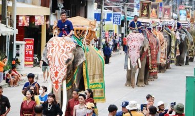 ยิ่งใหญ่อลังการ! ขบวนช้างครึ่งร้อย แห่เทียนพรรษา -ตักบาตรบนหลังช้างเมืองสุรินทร์