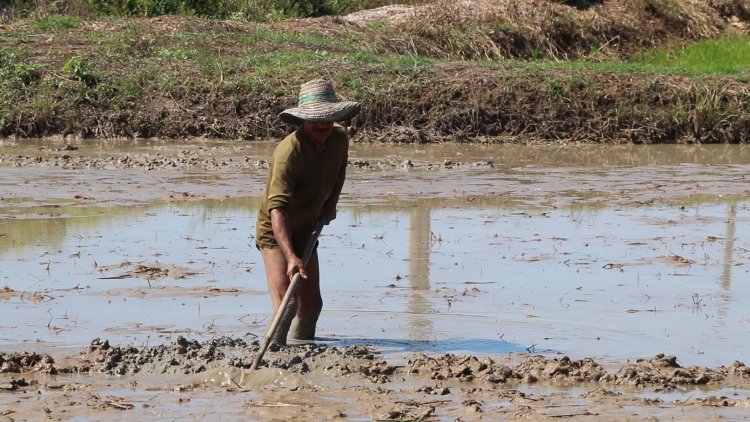 เกษตรกรขอนแก่นฝากการบ้านรัฐบาลชุดใหม่เร่งแก้ปัญหาต้นทุนพุ่งสินค้าทุกอย่างจะถูกลง