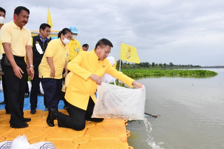 ชลบุรีปล่อยพันธุ์สัตว์น้ำ 200,000 ตัว เนื่องในวันเฉลิมพระชนมพรรษา พระบาทสมเด็จพระวชิรเกล้าเจ้าอยู่หัว 28 กรกฎาคม