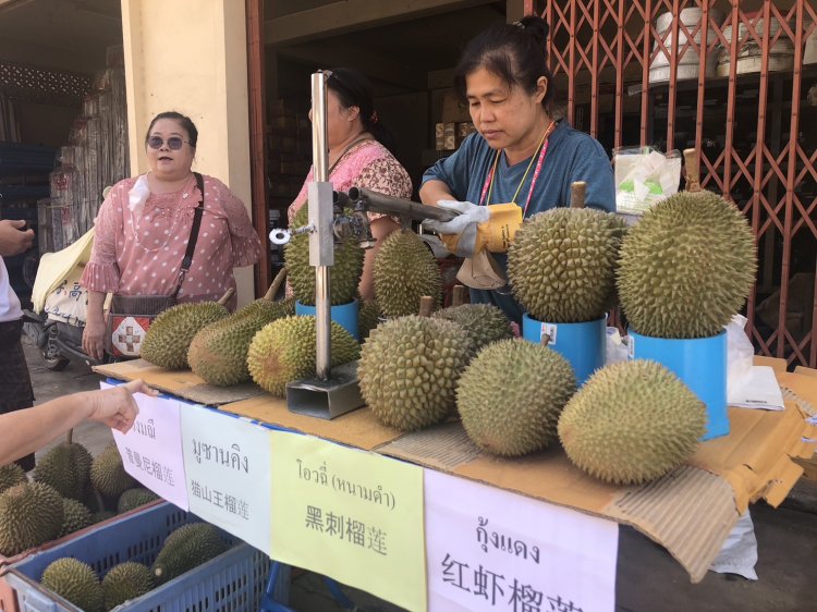 ข้าราชการเกษียณช้างไม่ป่วยขายทุเรียนเบตงตั้งโต๊ะรายได้วันละ 10,000 บาท