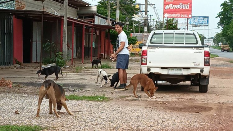 แห่ชื่นชม!อดีตพระเอกขุนแผนใจบุญตระเวนให้อาหารน้องหมาจรจัดทุกวันทำมาแล้ว 15 ปี