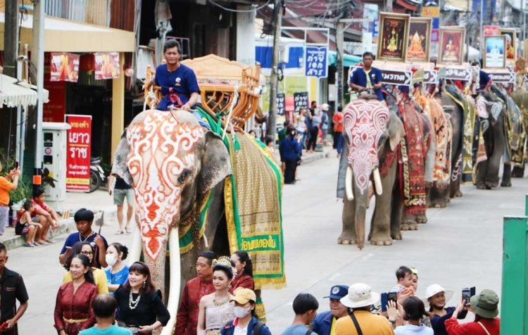 ยิ่งใหญ่อลังการ! ขบวนช้างครึ่งร้อย แห่เทียนพรรษา -ตักบาตรบนหลังช้างเมืองสุรินทร์