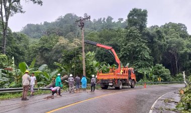 กฟผ.สบเมยเร่งเคลียร์ถนน-แก้ไฟดับหลังน้ำป่าซัดต้นไม้ล้มทับสายไฟฟ้าขาดไฟดับทั้งเมือง