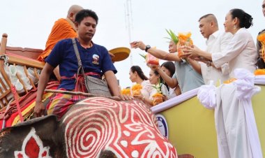 ยิ่งใหญ่อลังการ!สุรินทร์ตักบาตรหลังช้างวันอาสาฬหบูชาอันซีนแห่งเดียวในโลก