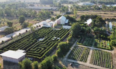 หนีความวุ่นวายสู่อ้อมกอดธรรมชาติกับ 9 ที่พักฟาร์มสเตย์สุดยูนีคบน Airbnb