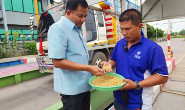 ชาวนาพิจิตรปลื้มโรงสีรับซื้อข้าวเปลือกราคาพุ่งสูงทะลุเกินหลักหมื่นไปแล้วแนวโน้มข้าวถุงอาจขยับขึ้นตาม