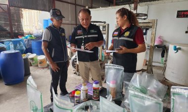 ปคบ.บุกทลายร้านจำหน่ายยาเร่งน้ำยาง-ปุ๋ยเถื่อน วัตถุอันตรายชนิดที่ 3 ไม่ได้รับอนุญาต