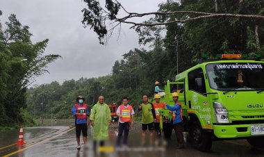 ทำทันที!“นายกต้อน ลูกจ้างประชาชน”ร่วมกฟภ.อุ้มผา ลุยตัดต้นไม้หักพาดสายไฟเพื่อความสบายใจปชช.