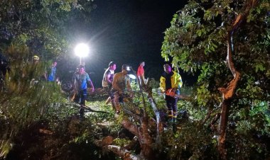 ระทึก!ฝนถล่มกบินทร์บุรีโค่นต้นไม้ยักษ์ล้มทับขวางถนนสาย 304 (กบินทร์บุรี –ศรีมหาโพธิ)จราจรติดหนึบ