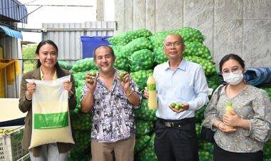 กรมการค้าภายใน ดูแลสินค้ามะนาวต่อเนื่องตลอดฤดูการผลิต