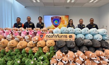 ทลายโกดังย่านลาดกระบังจำหน่ายของเล่นเด็กไม่มีเครื่องหมาย มอก.