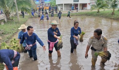ผวจ.ชัยภูมิ ลงแขกดำนา "ดำวันแม่เกี่ยววันพ่อ" โรงเรียนโนนคูณวิทยาคาร สืบสานปรัชญาพอเพียง (ชมคลิป)