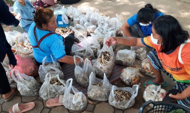 เศรษฐกิจชายแดนสองฝั่งโขงคึกคักพ่อค้าแม่ค้าลาวขนเห็ดป่าขายฝั่งไทยเงินสะพัด 3-5 แสนบาท/วัน (ชมคลิป)