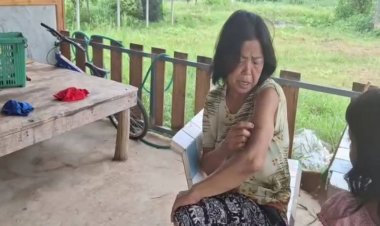 หวิดดับ!แม่เฒ่าโดนต่อหัวเสือรุมต่อยปางตายหามส่ง ร.พ.แจ้งกู้ชีพทำลายรังต่อหัวเสือ